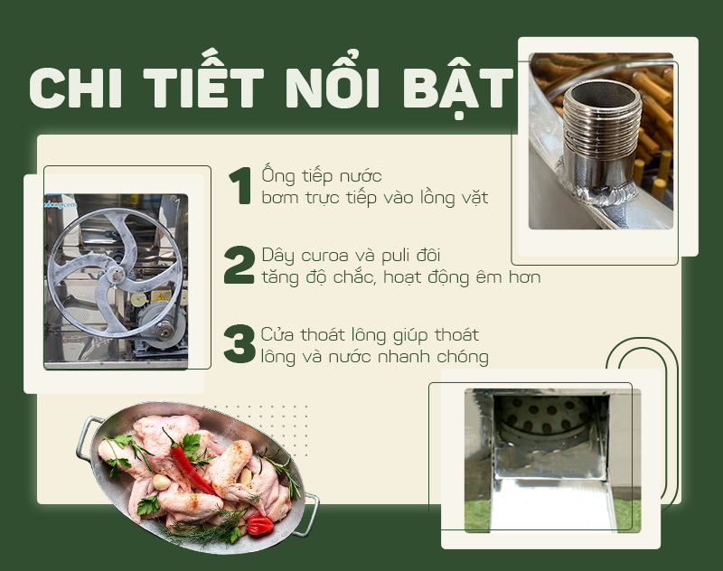 máy vặt lông gà vịt máy vặt lông gà vịt